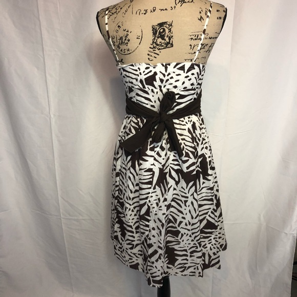 Maggy London 6p Brown white pinup dress bow chic - Picture 6 of 7